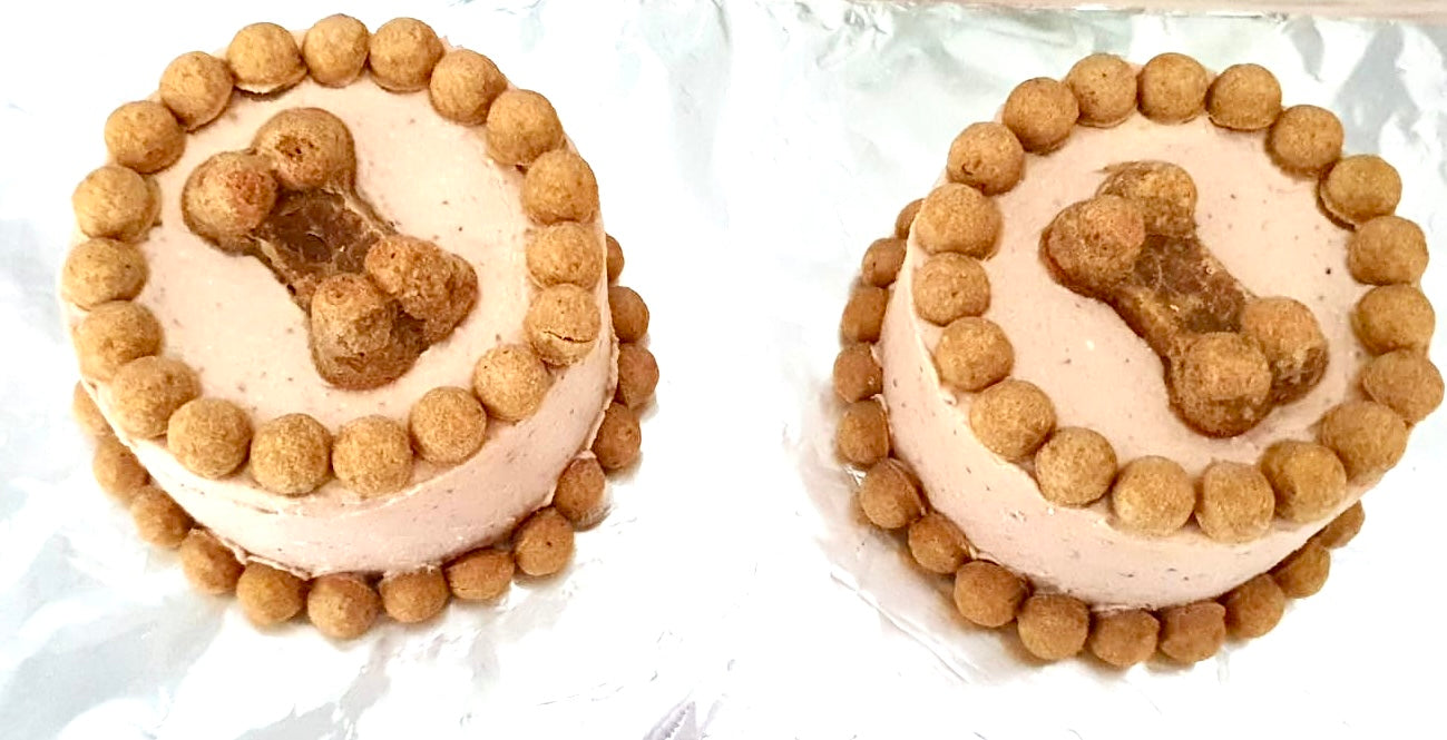 Hunde- und Katzentorte - Hähnchenkeksboden mit Leberwurstfüllung