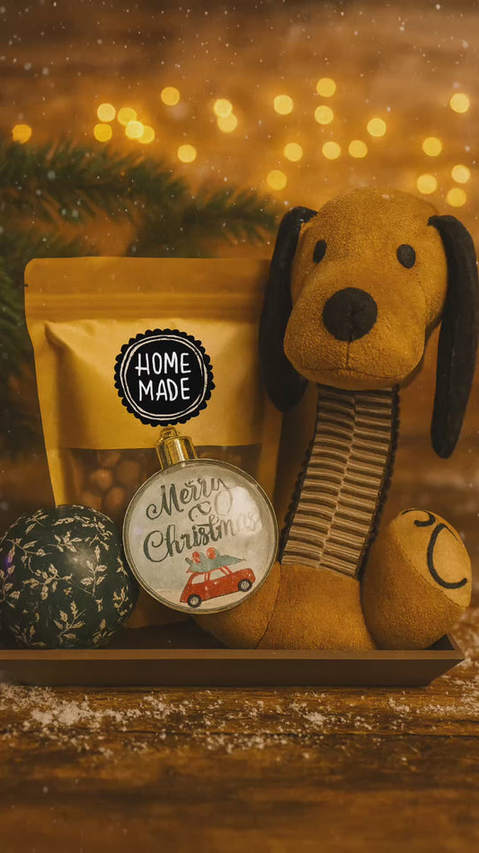 ✨ Alamea’s Nikolaus- & Weihnachtsspecial – Limitierte Geschenksets ✨